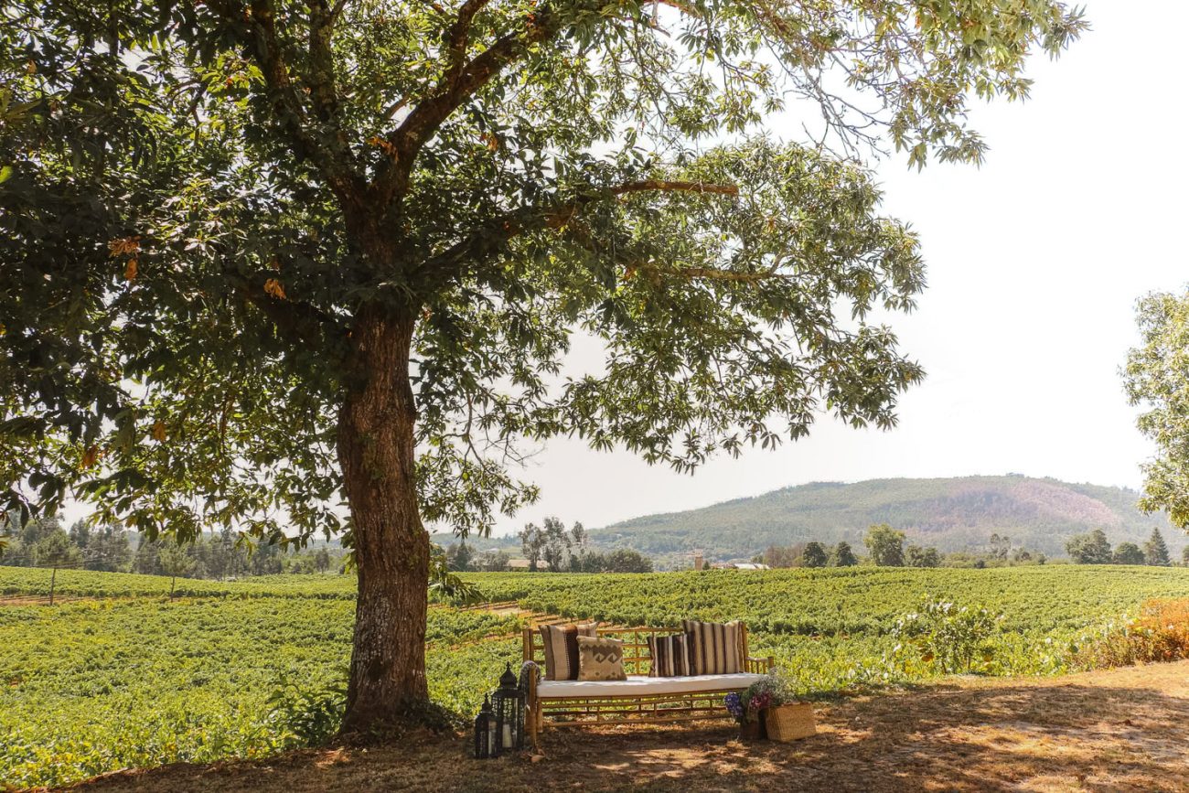 Att bara vara är ibland det bästa man kan göra. Foto från Terra Rosa Country House and Vineyards.