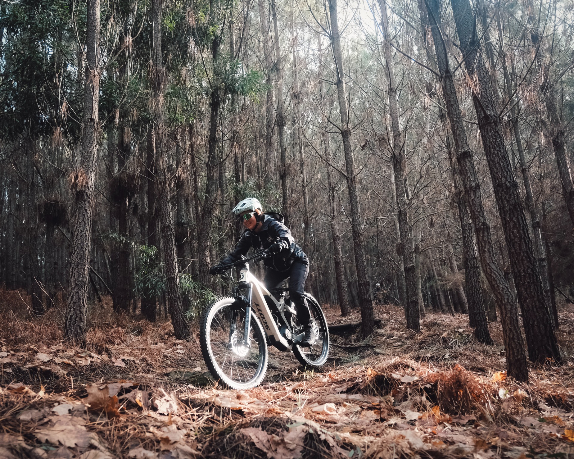 Mountainbike i skogsterräng. Foto från Feel Viana.