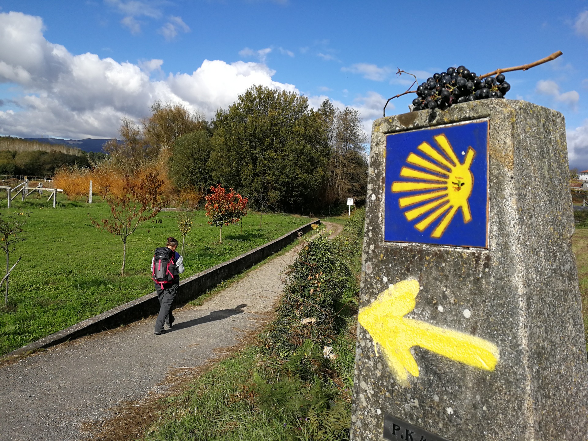 Foto: Portugal Green Walks