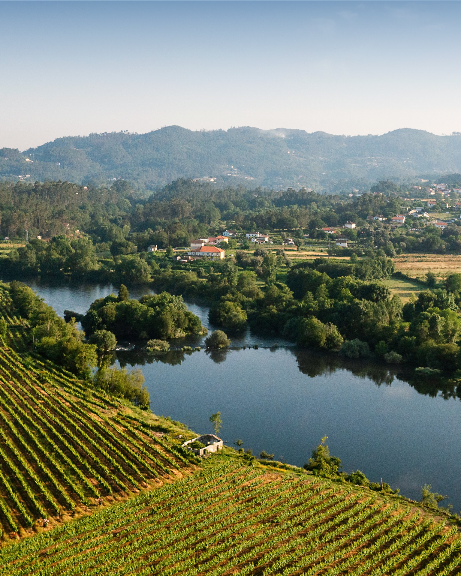 The lush splendour of Minho – a delight for the senses. Photo: Quinta de Cypriano