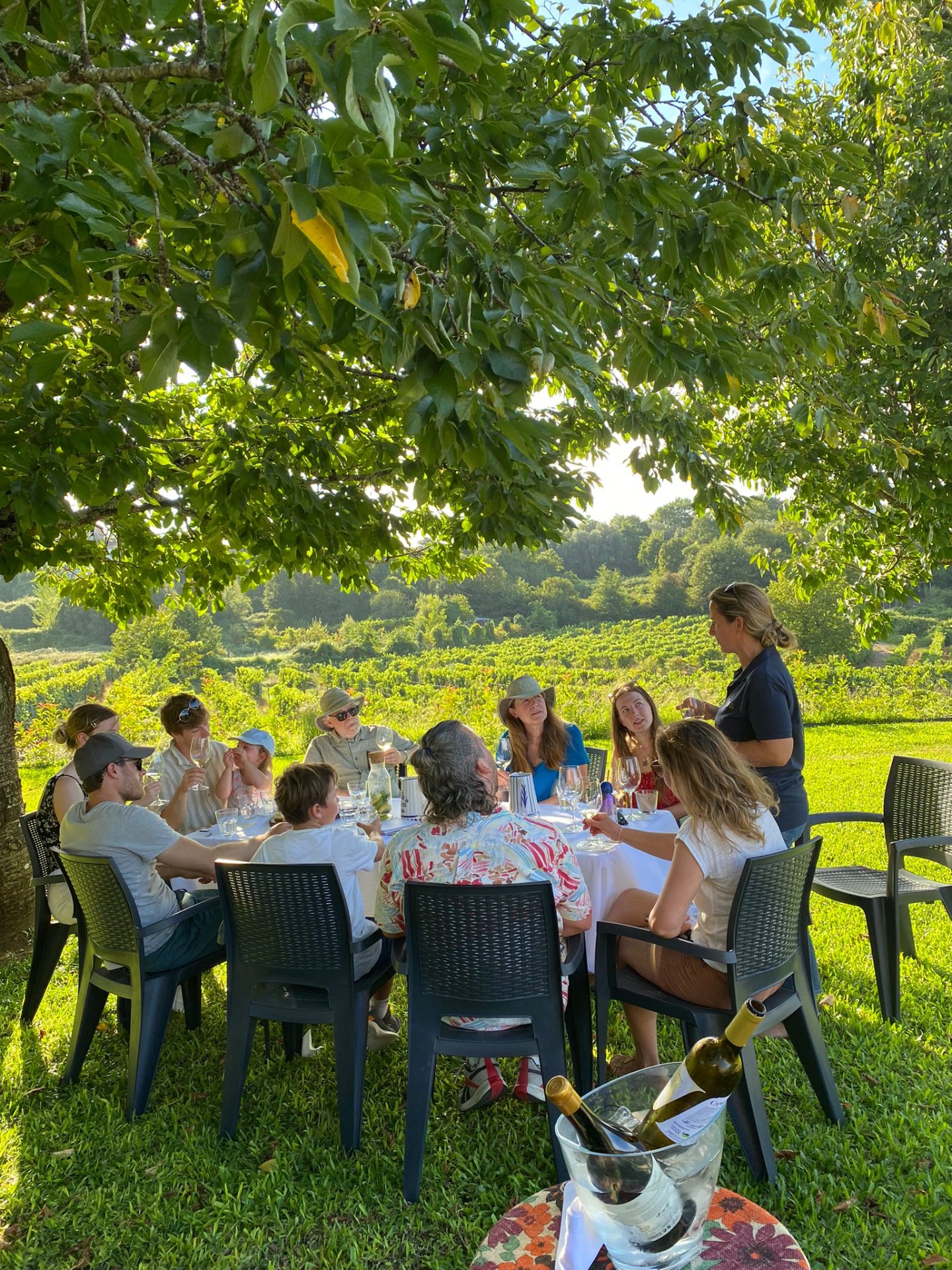 Savour wine in the shade, with a breathtaking view – truly unbeatable! Photo: Quinta de Cypriano