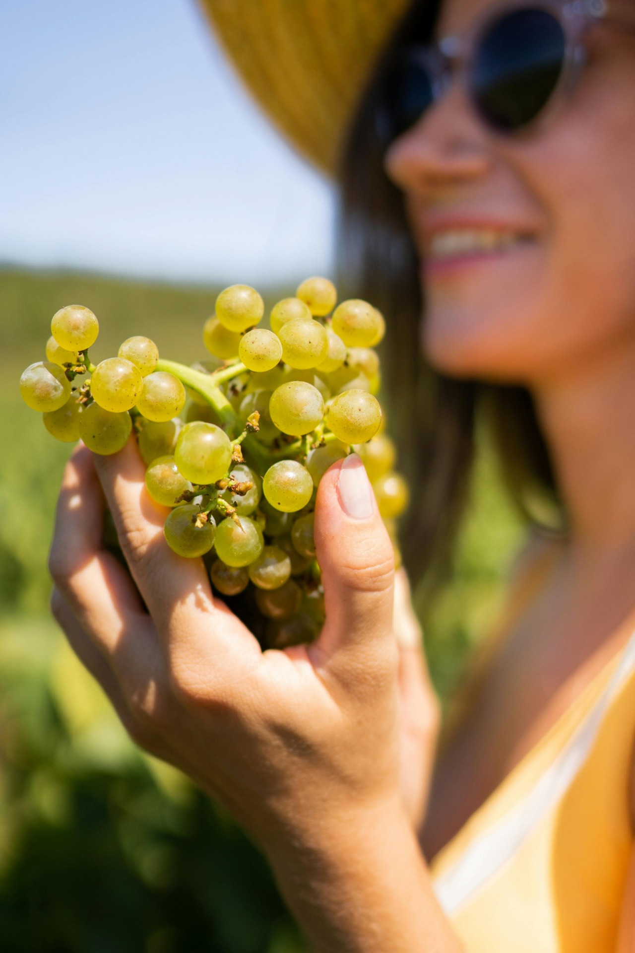 Experience the grape harvest – from soil to glass. 