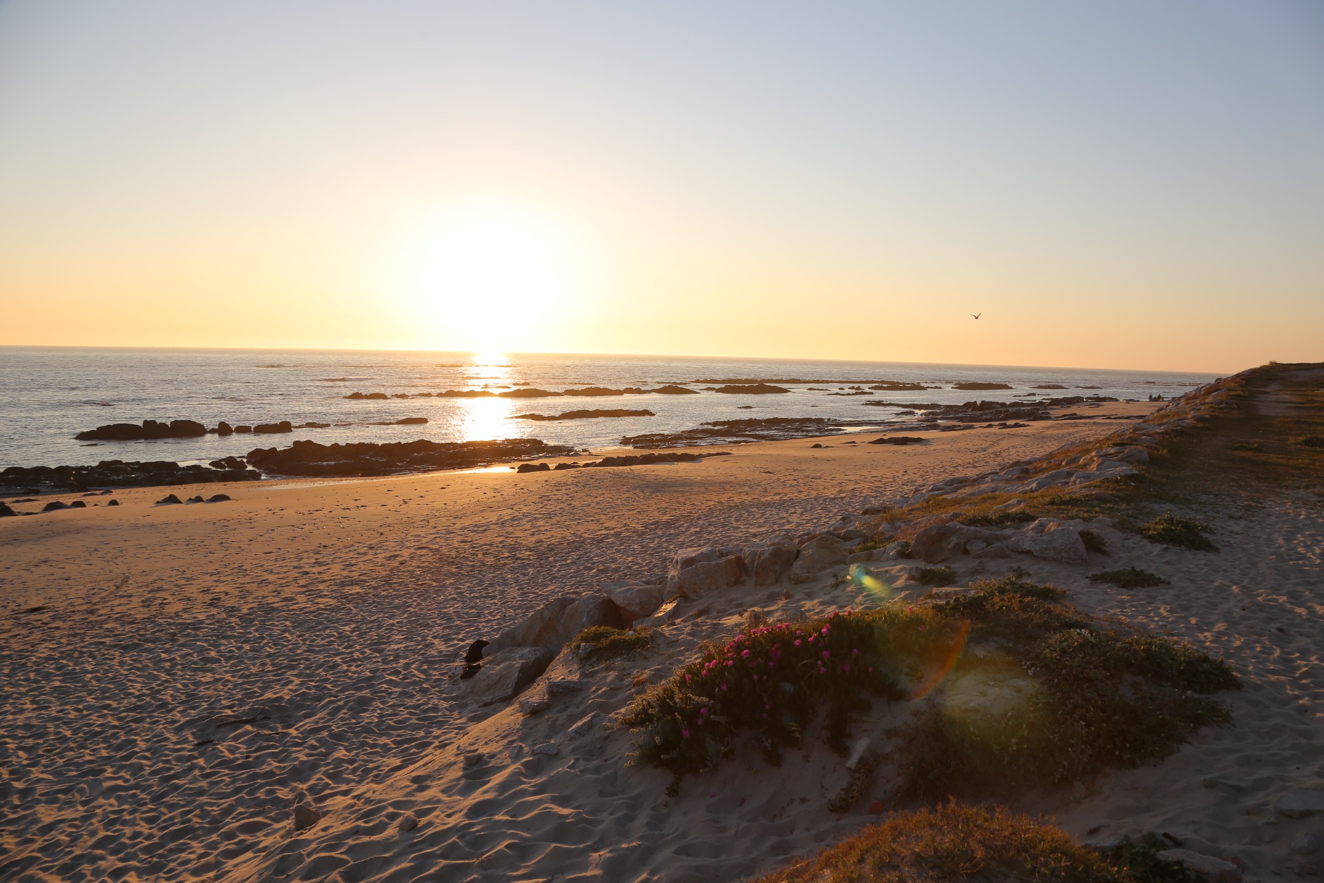 Ta en promenad på stranden och andas in den friska, rena höstluften. Foto: Portugal Green Walks