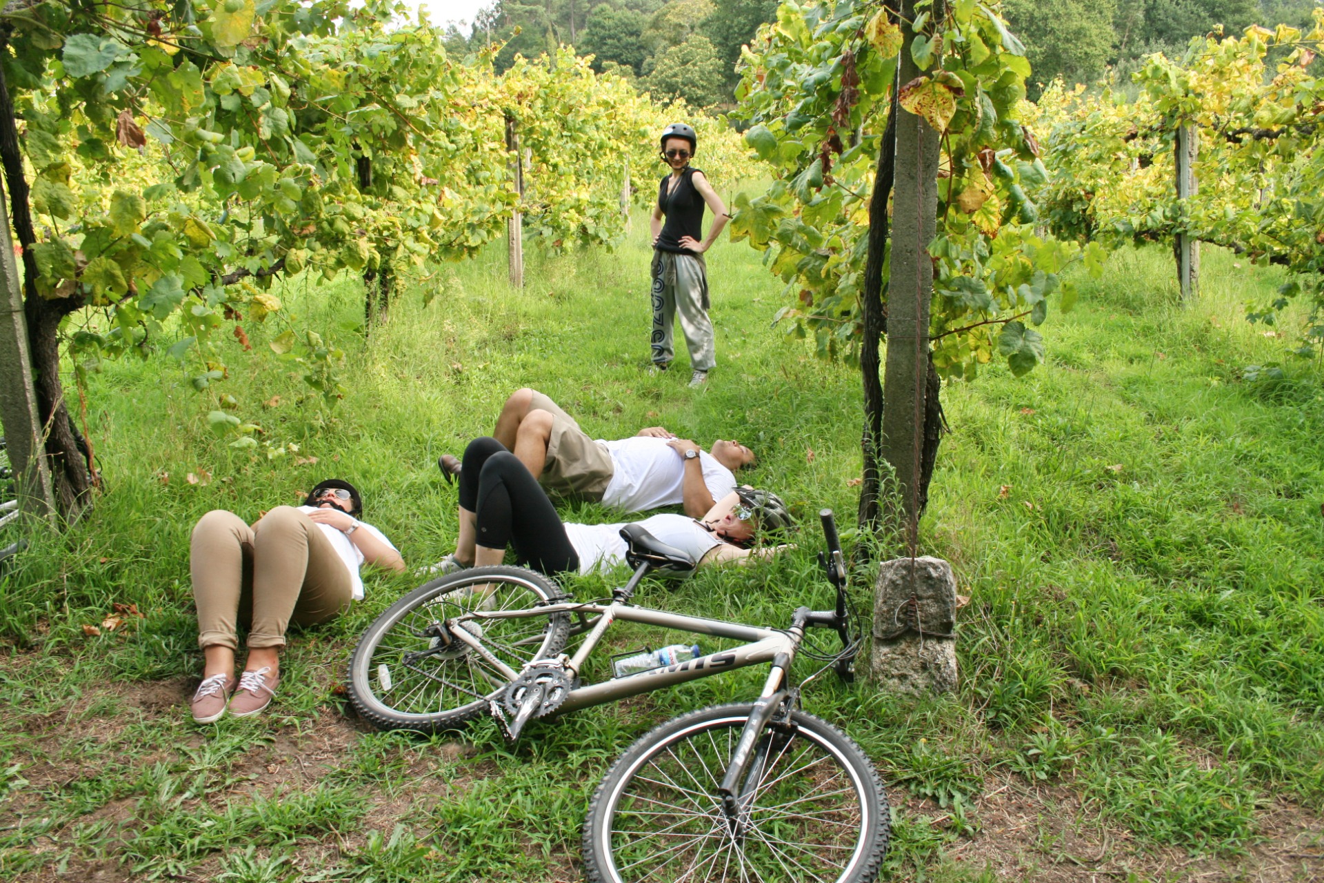Take a break among the vineyards. Photo: Portugal Green Walks